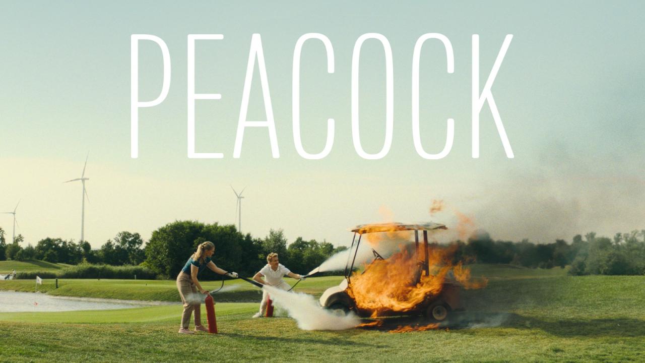مشاهدة فيلم Peacock 2024 مترجم HD اون لاين