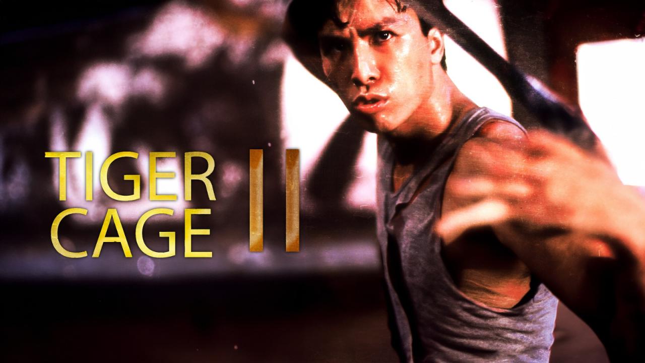 مشاهدة فيلم Tiger Cage II 1990 مترجم HD اون لاين