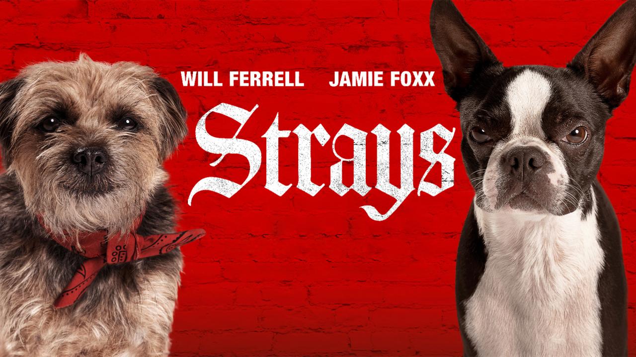 مشاهدة فيلم Strays 2023 مترجم HD اون لاين