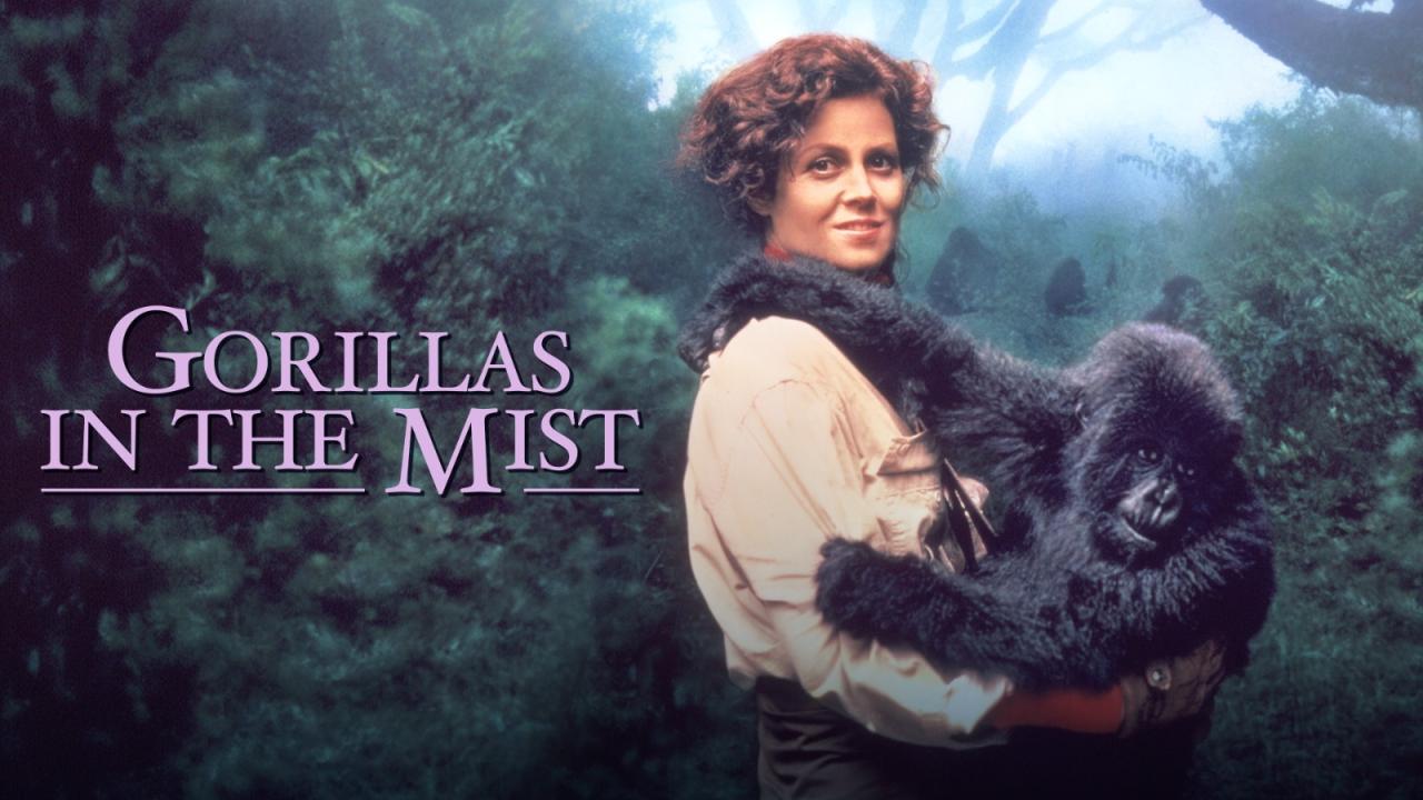 مشاهدة فيلم Gorillas in the Mist: The Story of Dian Fossey 1988 مترجم HD اون لاين