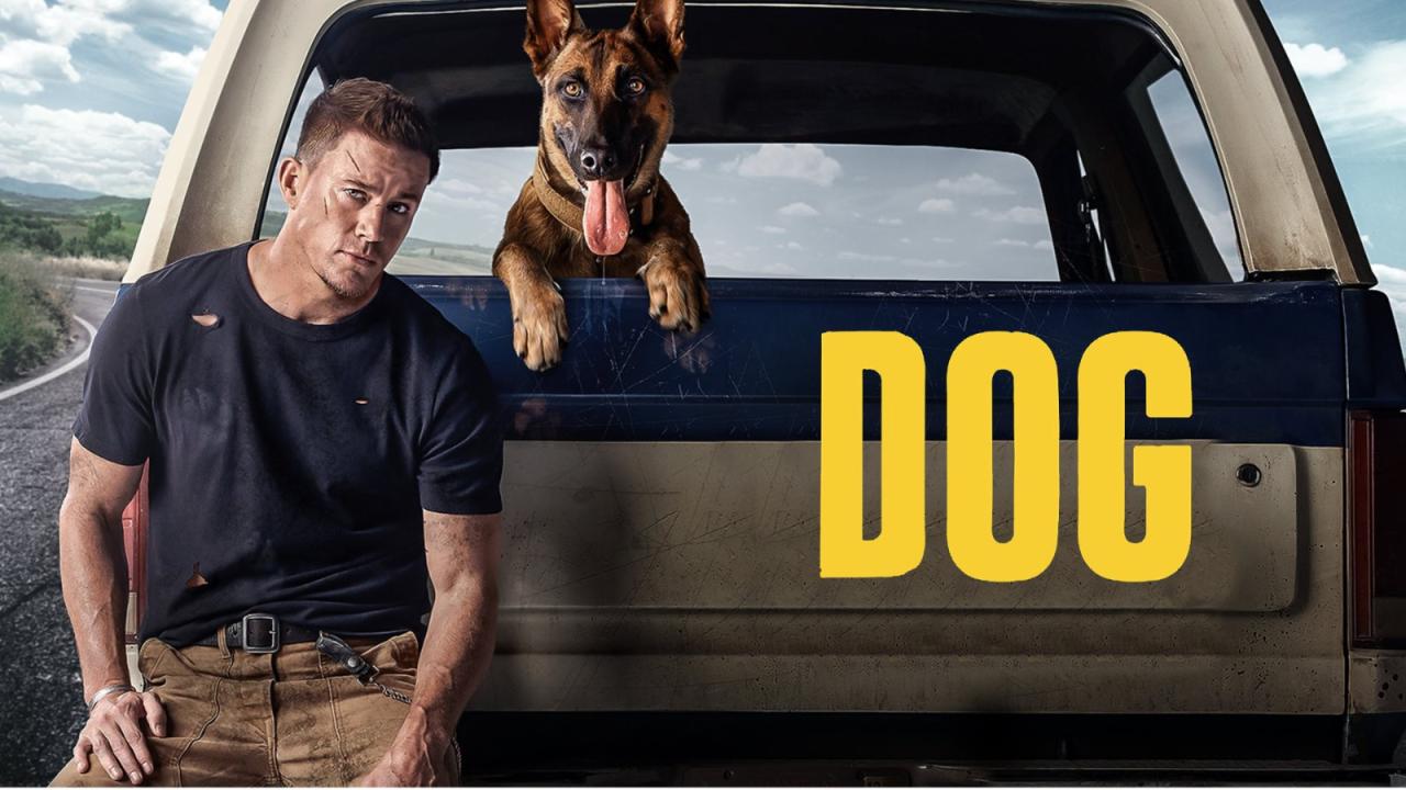 مشاهدة فيلم Dog 2022 مترجم HD اون لاين