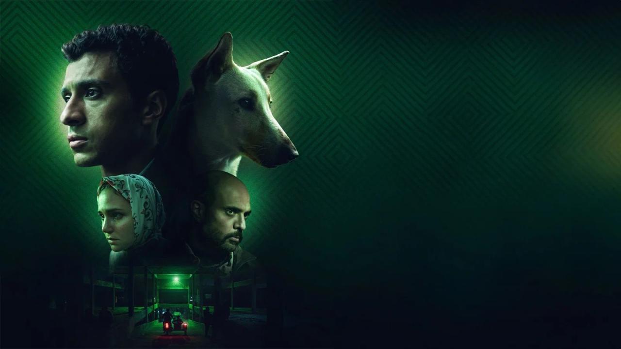 مشاهدة فيلم البحث عن منفذ لخروج السيد رامبو 2024 HD اون لاين