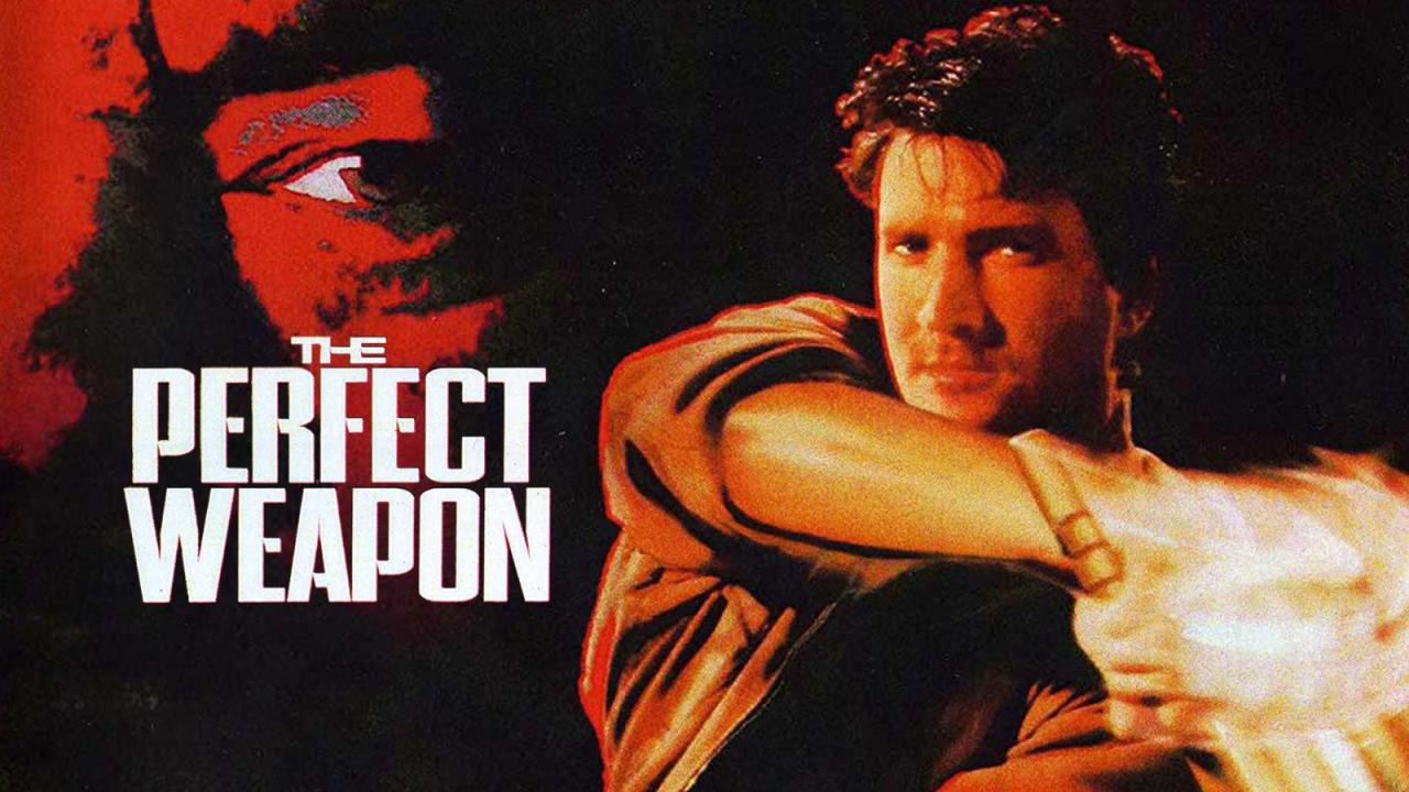 مشاهدة فيلم The Perfect Weapon 1991 مترجم HD اون لاين