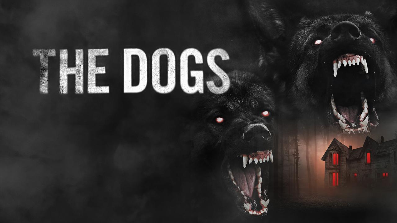 مشاهدة فيلم The Dogs 2025 مترجم HD اون لاين