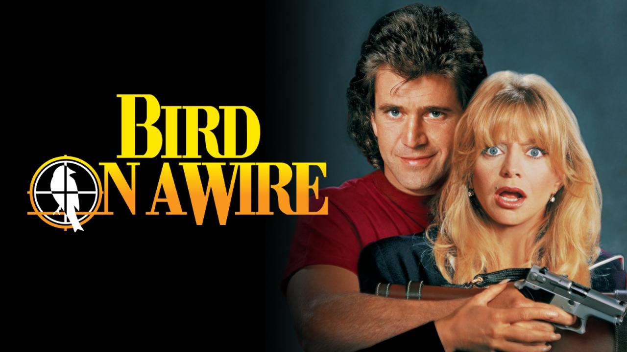 مشاهدة فيلم Bird On A Wire 1990 مترجم HD اون لاين
