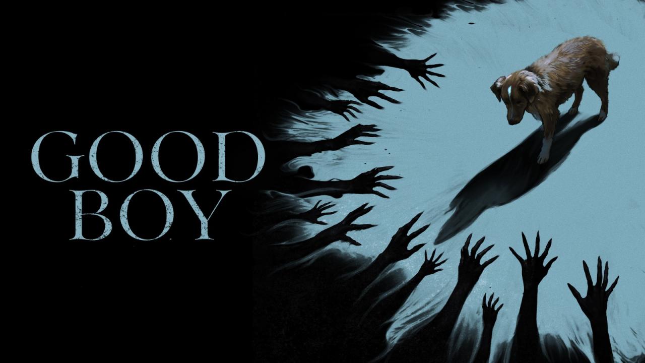 مشاهدة فيلم Good Boy 2025 مترجم HD اون لاين