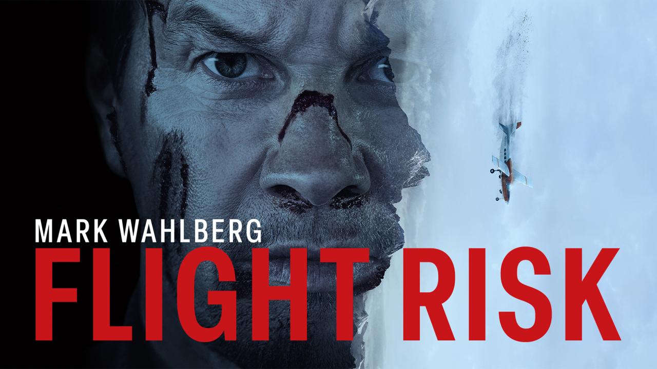 مشاهدة فيلم Flight Risk 2025 مترجم HD اون لاين
