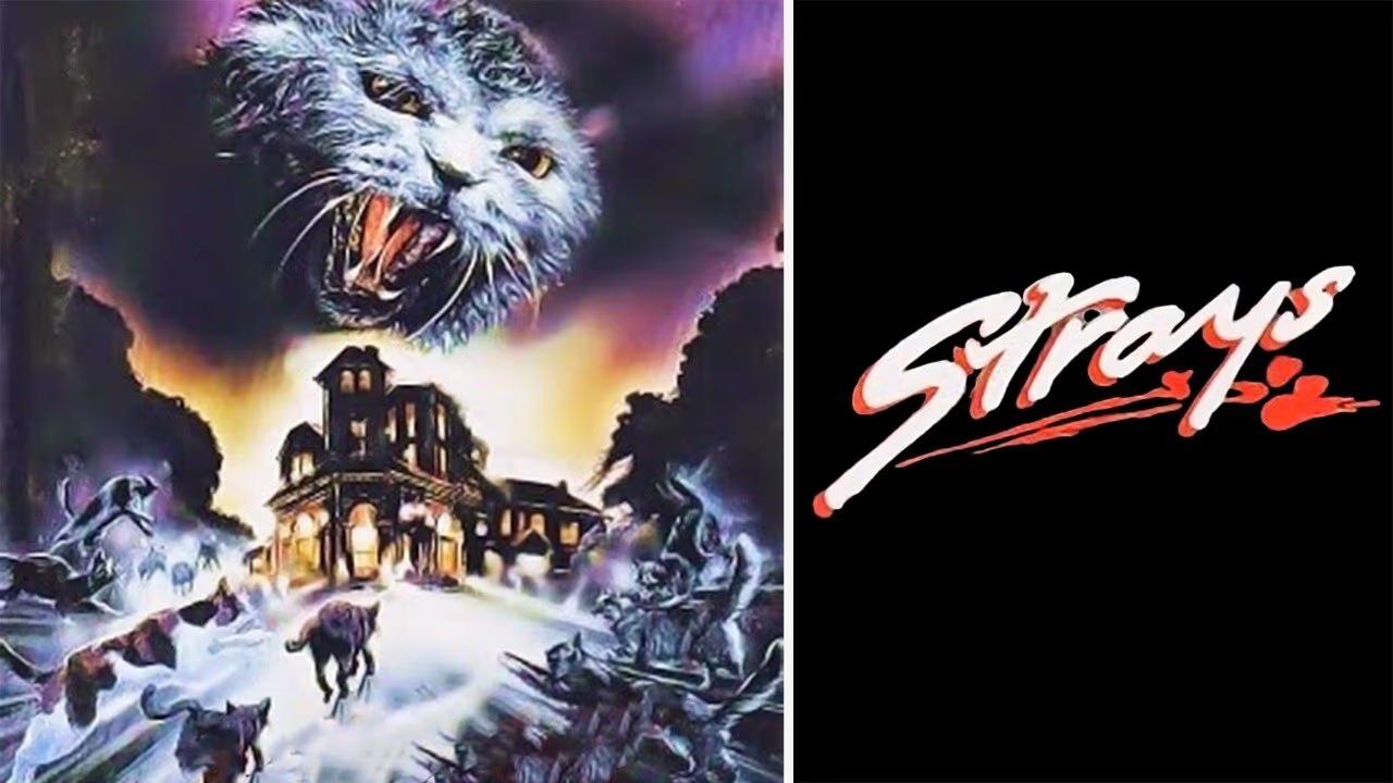مشاهدة فيلم Strays 1991 مترجم HD اون لاين